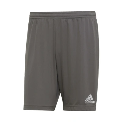 Obrázok používateľa adidas Performance Entrada 22 Športové šortky, Pánsky, Veľkosť: XL, Grey