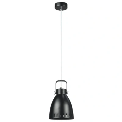 Obrázok používateľa Závesná lampa AIDEN TYP 3 Čierna