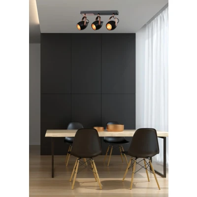Obrázok používateľa Čierne stropné svietidlo 13x46 cm Anica Candellux Lighting