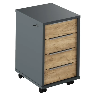 Obrázok používateľa Kontajner so zámkom RIOMA TYP 30 Grafit / dub artisan