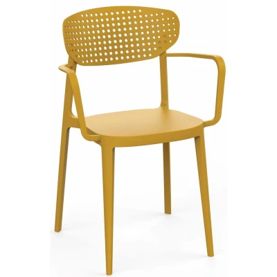 Obrázok používateľa Jedálenská stolička AIRE ARMCHAIR Žltá