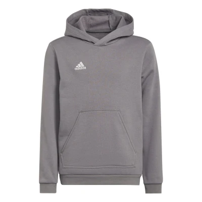 Obrázok používateľa adidas Performance Entrada Unisex Mikina s kapucňou pre deti, Veľkosť: 152, Team grey