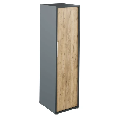 Obrázok používateľa Vešiaková skriňa RIOMA TYP 20 Grafit / dub artisan