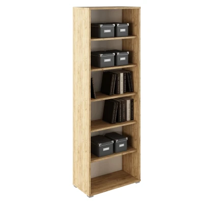 Obrázok používateľa Regál RIOMA TYP 01 Dub artisan / bílá